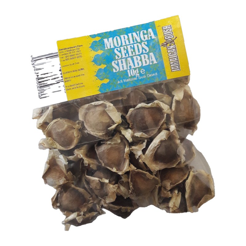 Jamaican Bush Moringa Seeds Shabba 10g