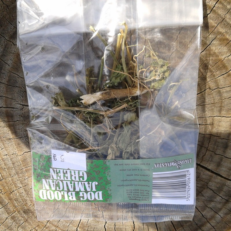 Lagos Kingston Dog Blood Jamaican Green 6g
