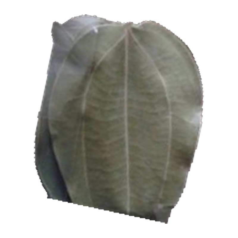 Lagos Kingston Jamaican Porridge Leaves Cinnamon 10g